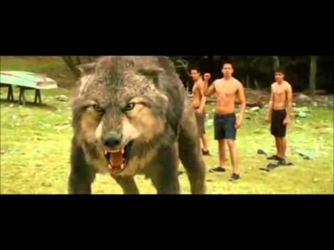 Jacob se transforma en lobo