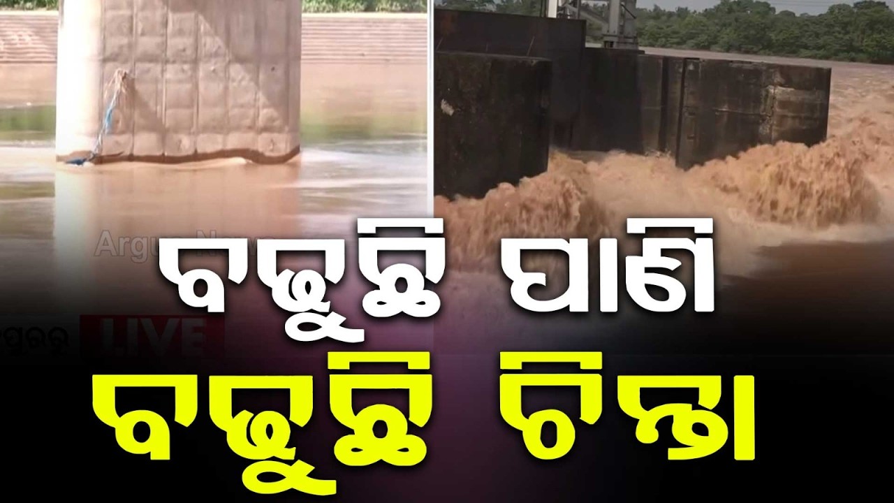 Flood Threat In Odisha: Baitarani River Water Level Rises In Jajpur | Argus News
