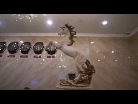 Video der Unterkunft