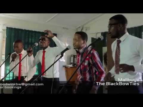 The BlackBowTies - The BlackBowTies - Malibuye