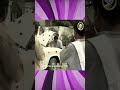 మీరు ఎంత ఖరీదైన కారు కొన్నా..? | Devatha Serial HD | దేవత  - 00:54 min - News - Video
