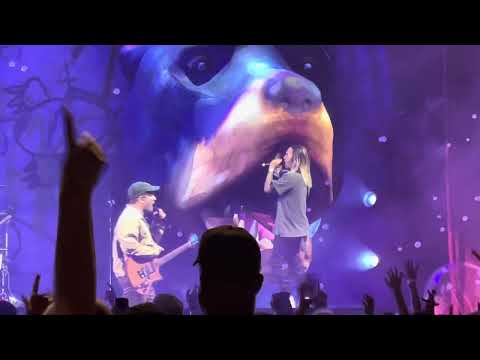 Fall Out Boy - Disloyal Order of Water Buffaloes - Forest Hills Stadium - NYC - 8/1/23