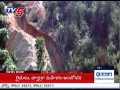 AP govt. takes steps to protect red sanders