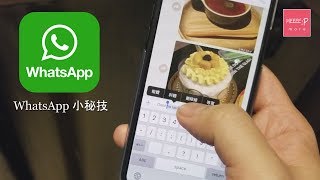 WhatsApp 小秘技