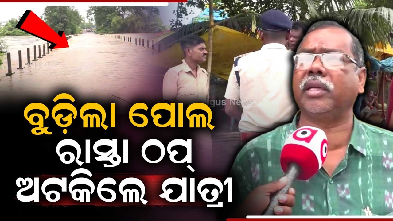 Malkangiri Flood Crisis: Major Bridges Submerged, ODRF Deployed & Schools Closed Due To Heavy Rains