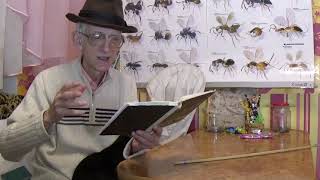 Замечательные наездники - паразиты насекомых и пауков