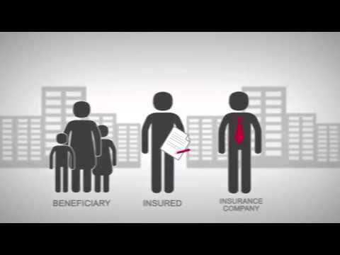 What Is Life Insurance and How Does It Work?