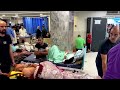 Newborns in peril at besieged Gaza hospital