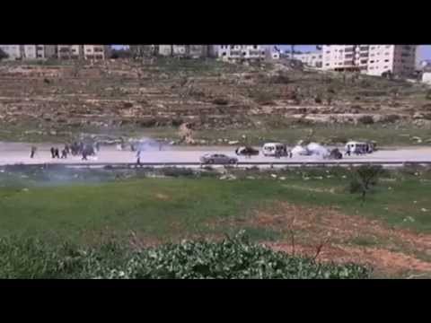 كيف تحمي السلطة الفلسطينية المواطنين من إرهاب المستوطنين ؟