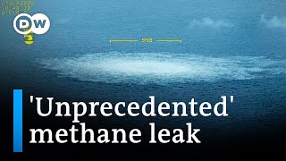 What does the Nord Stream pipeline gas leak mean for the environment? | DW News