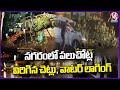Hyderabad Rains : There Are Broken Trees And Water Lapping In City | Weather Report | V6 News