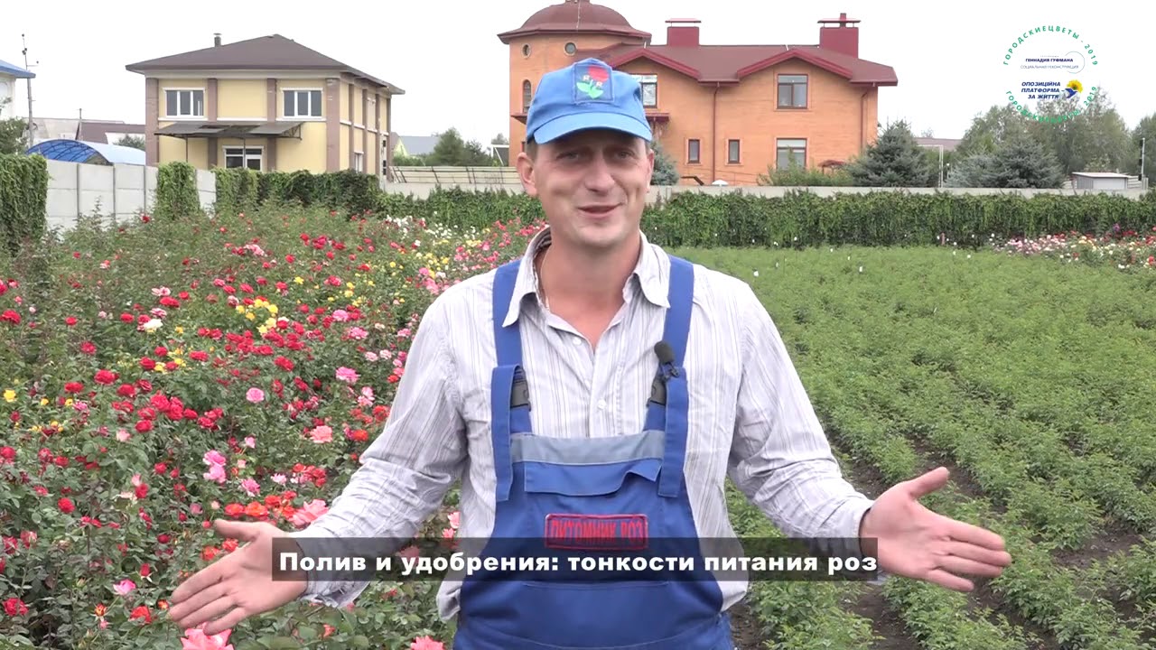 Питомник Тимофей Интернет Магазин