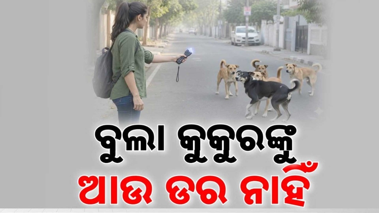 Dog Attack Protection: Electric Shock Safety Tool For Self-Defense From Stray Dogs | Argus News