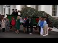 WH receives the official 2023 Christmas tree