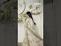 Katrina Kaif, Amir Khan की बेटी Ira Khan की शादी के रिसेप्शन में आईं नज़र  - 00:41 min - News - Video