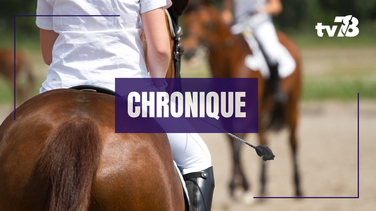 JO 2024 : on vous explique le dressage