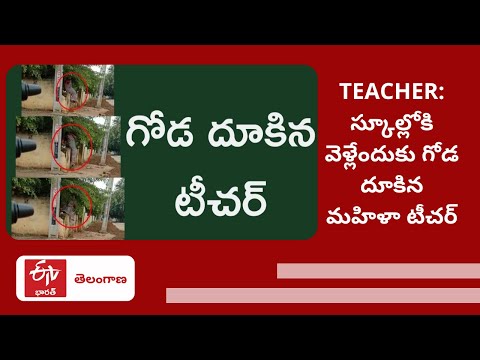 Telangana: Teacher jumps wall to enter school, receives huge reactions Telangana: Teacher jumps wall to enter school, receives huge reactions
