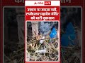 उफान पर Tamsa नदी, Tapkeshwar Mahadev मंदिर को भारी नुकसान | Uttarakhand Rains | Cloud Burst |SHORTS  - 00:43 min - News - Video