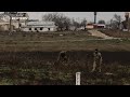 Ukraine frontline village unites to rebuild | REUTERS
