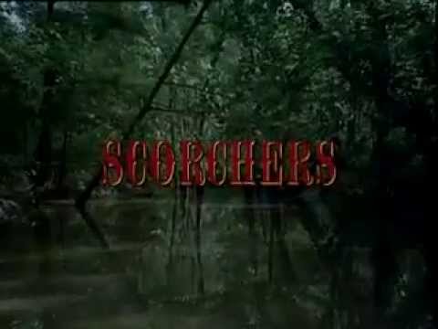 Scorchers'