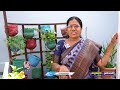 Terrace Gardening New Techniques | Shiva Parvati | Hyderabad | V6 News  - 12:14 min - News - Video