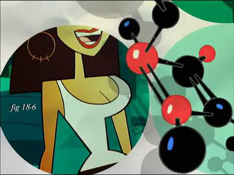 Clone High'