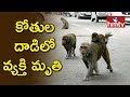 Man dies in monkeys attack at Ananthapur
