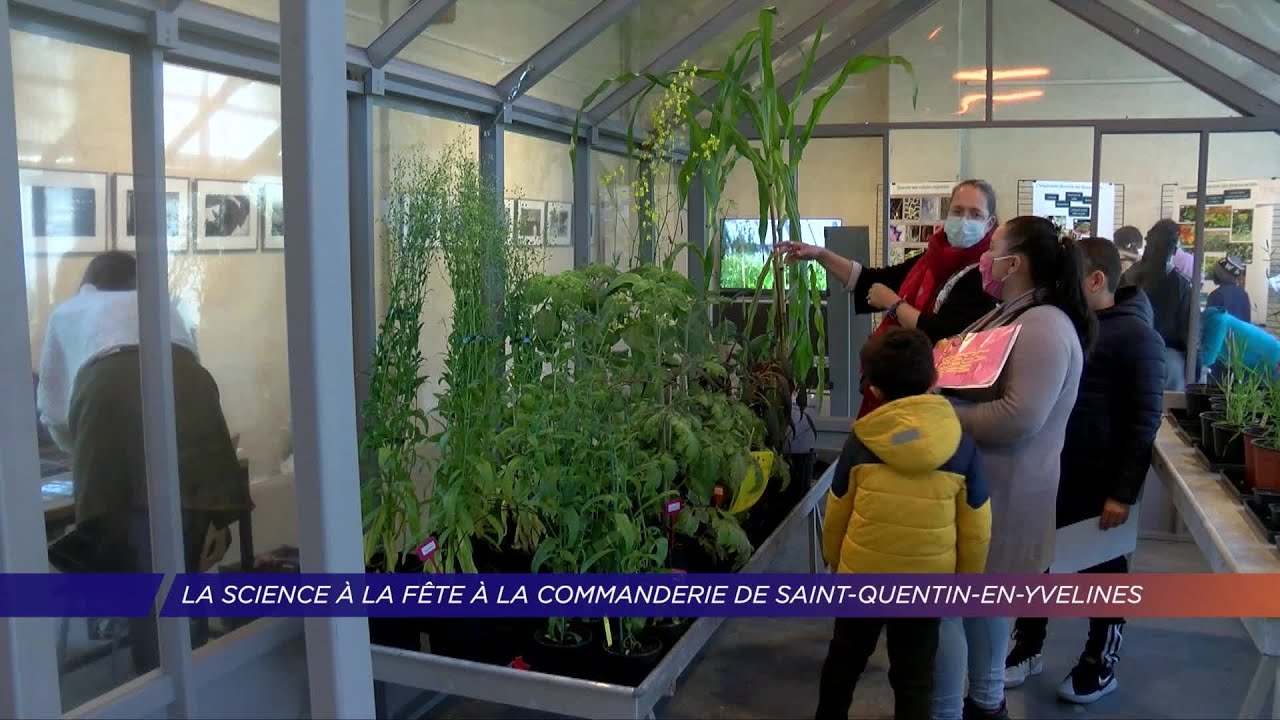 Yvelines | La science à la fête à la Commanderie de Saint-Quentin-en-Yvelines