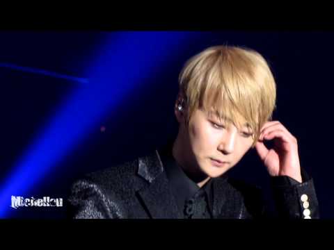 20130316 신화15주년콘서트 first love(혜성ver.)