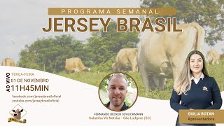Programa Jersey Brasil - 01/11/2022