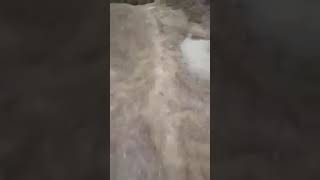 سقوط سيارة من نوع هيونداي في حفرة كبيرة في تيارت بالحي الجديد ...