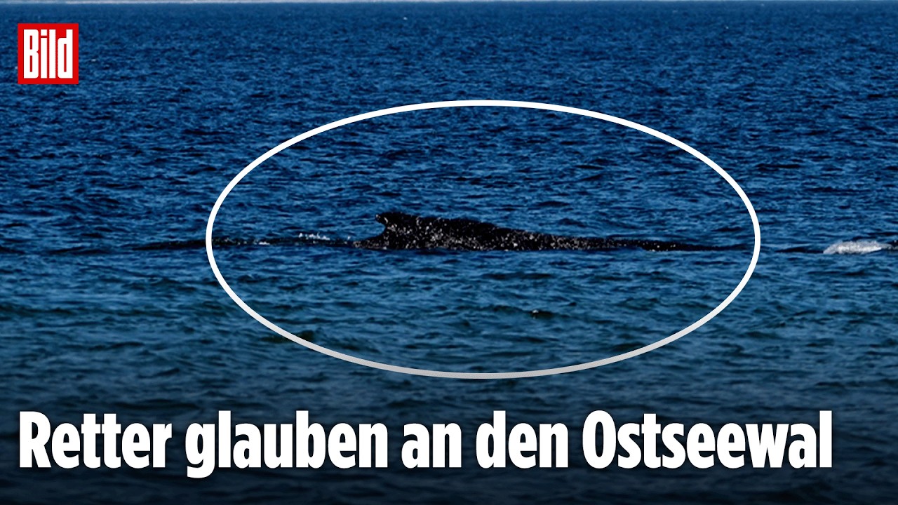 Timmendorfer Strand: Happy End im Ostsee-Drama? Zurück an der Küste