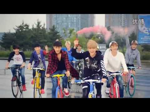 EXO : AIMA MIX BICYCLE CF