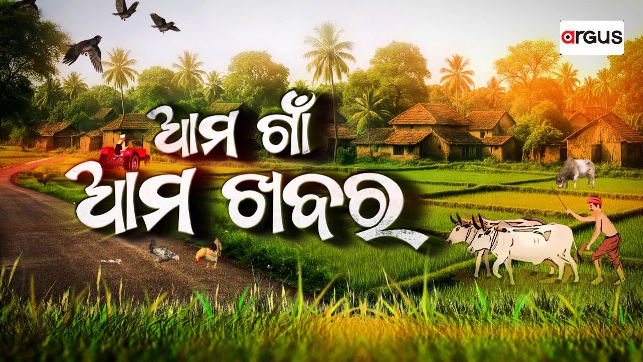 🔴Live | Ama Gaon Ama Khabar | ପ୍ରକଳ୍ପ କାମ ପାଇଁ ଶୁଖିଲା ପଡ଼ିଛି ନଦୀ | 18 Feb 2026 | Argus News