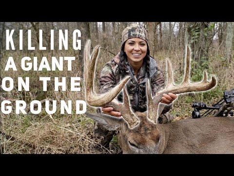 NO Blind Monster Buck Bow kill by Sarah Bowmar | Bowmar Bowhunting |