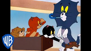 Tom a Jerry - Trojčata