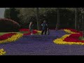 Tulip Festival LIVE: Colorful flowers in Istanbul mark the arrival of spring  - 02:16:01 min - News - Video