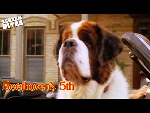 Beethoven's 5th'