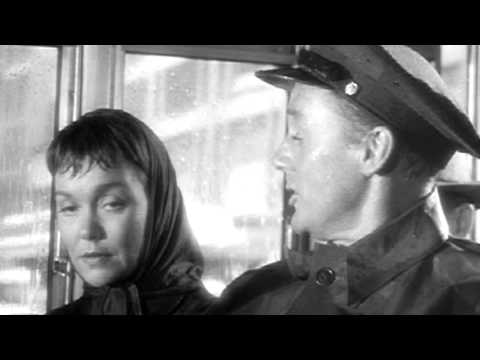 Miracle in the Rain'