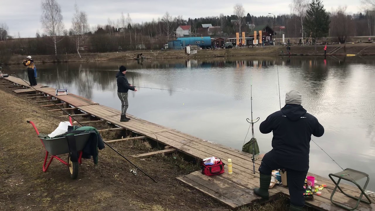 Платная рыбалка петряиха сайт