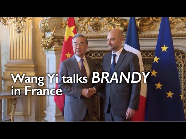 Wang Yi addresses China-EU cognac spat during his visit to France