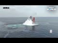 Red Sea Ship Attack LIVE: Houthi Rebels Release Video Of Attack On Eternity C Vessel In Red Sea  - 02:41:26 min - News - Video