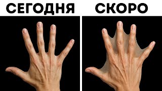 Части тела, которые могут значительно измениться в ближайшем будущем