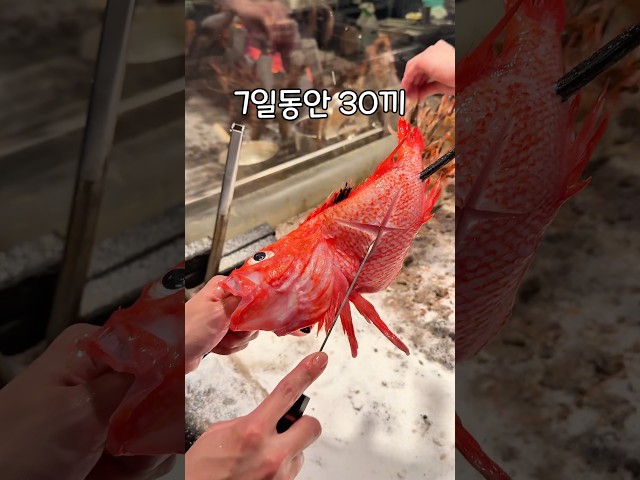 후쿠오카 7박 30끼 찐맛집 족보정리(2025)