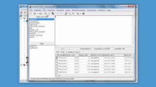 InterBase Database: Introduction to IBConsole