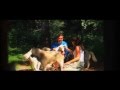 Cani-rando en Haute-Loire