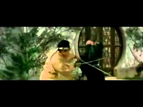 Tian long ba bu'