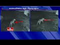 CCTV footage: Leopard sighted at Hampi Peetam in Tirumala
