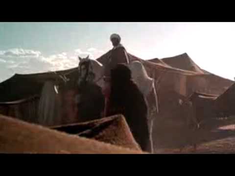 Zaïna, cavalière de l'Atlas'