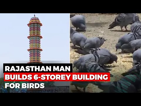 Rajasthan man builds 6-storey building for birds